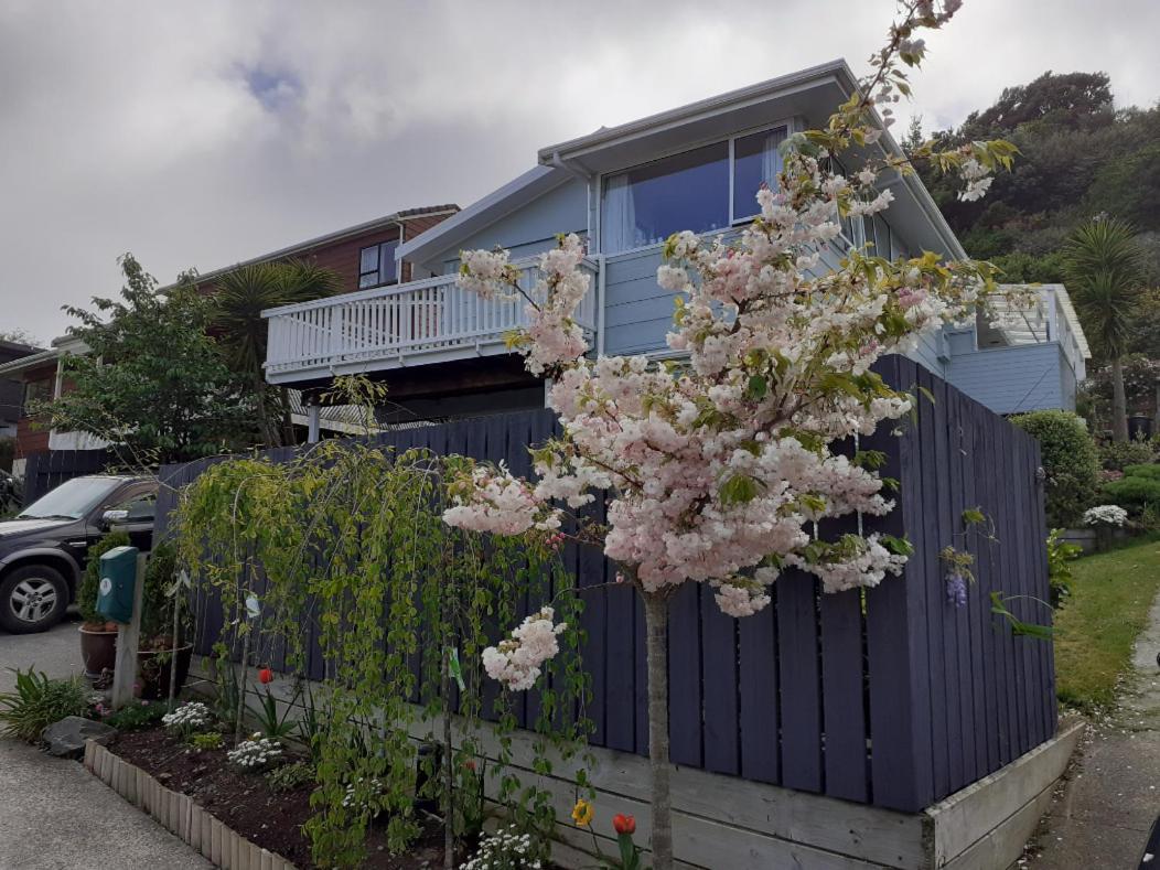 New, Cosy & Private 1-Bedroom & Living Flat Porirua Exterior photo